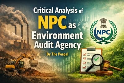 NPC as Environment Audit Agency